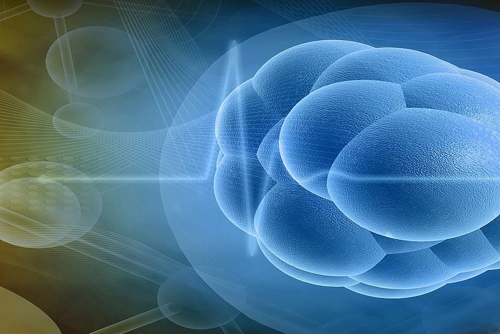 High Doses of Vitamin C And B3 Can Kill Cancer Stem Cells, Says Study