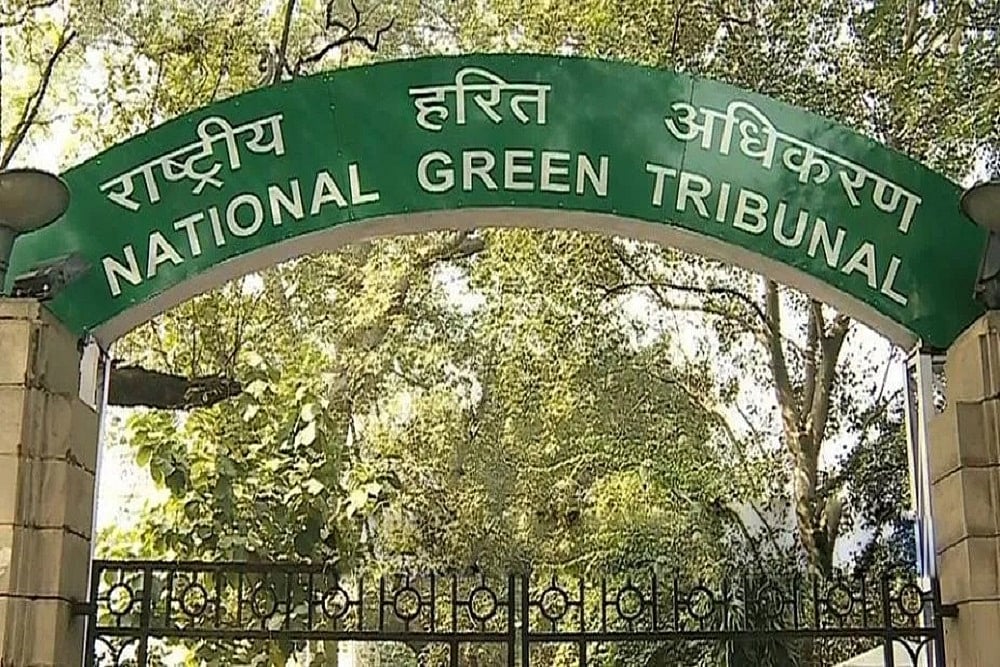 Stick No Bills: NGT Tells DU To Ensure Campus Walls Aren't Defaced