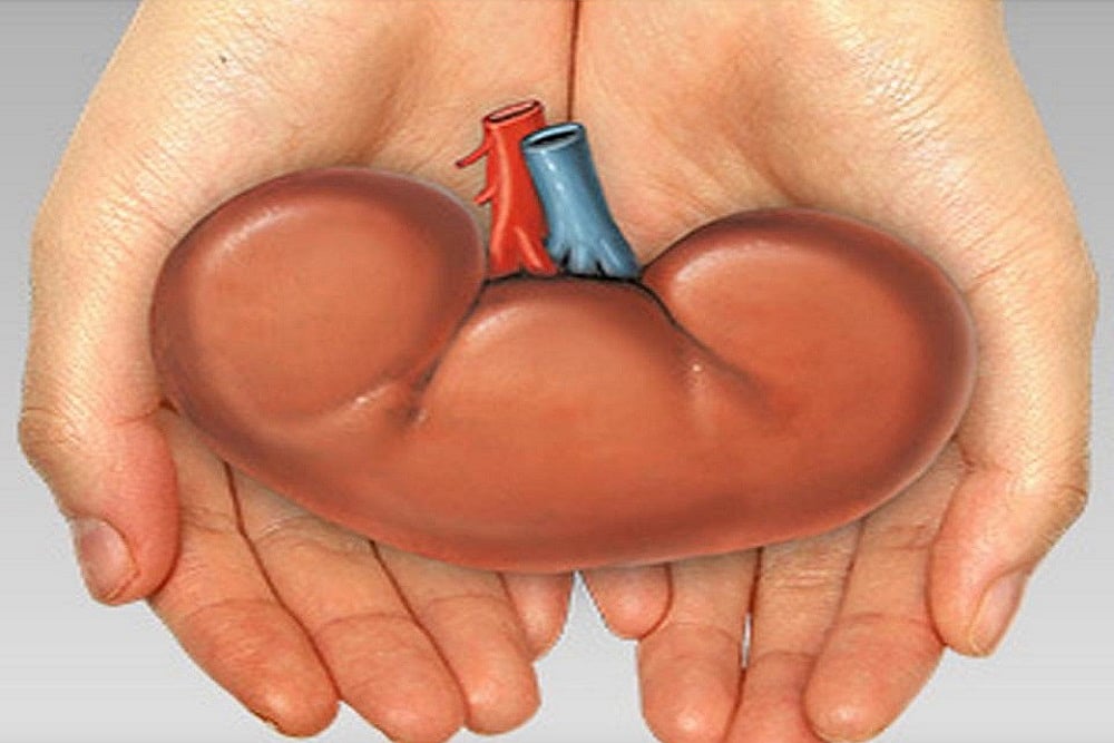 Pune: Private Hospital's Managing Trustee Among 15 Booked For Alleged Malpractice In Kidney Transplant