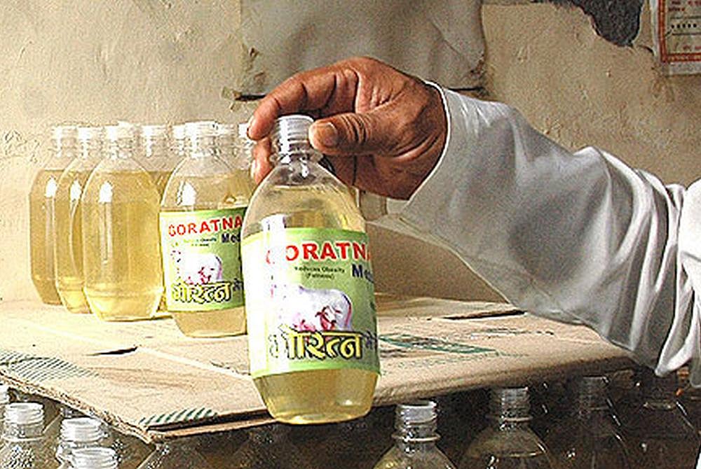 Council For Agricultural Research Asked To Study If Cow-Urine Can Be Used For Organic Farming