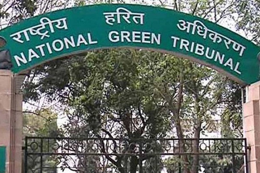 NGT Asks Delhi Govt, Civic Bodies To Ensure No Animal Waste, Blood Seeps Into Yamuna