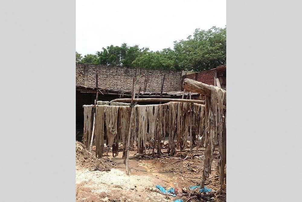 Curbs On Slaughter Houses And Cattle Sale Put The Boot In India's Shoe Exports And Business