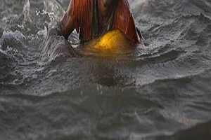 Myanmar Boy Can't Swim, Floats on Oil Drum to Bangladesh