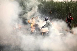 Delhi Air Pollution: Punjab CM Amarinder Singh Says Farmers Can't Give Up Stubble Burning Completely