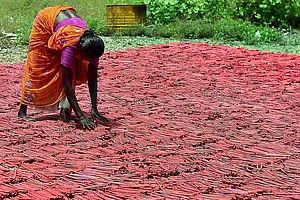 India Slips 21 Places On Gender Gap Index, Behind China And Bangladesh