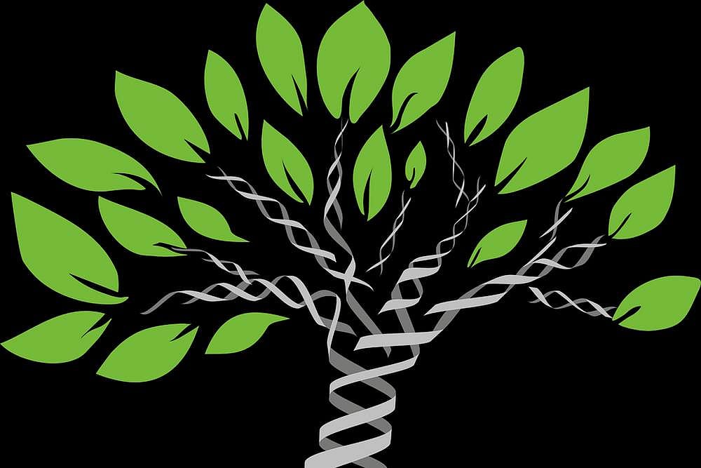 How DNA Barcoding Of Endangered Plants Help In Checking Illicit Trade