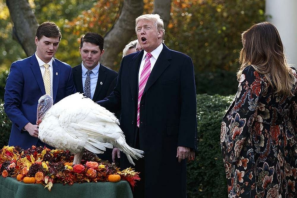 Trump Asks If 'Almost Invisible' US Fighter Jets Are Like Those 'In The Movies'