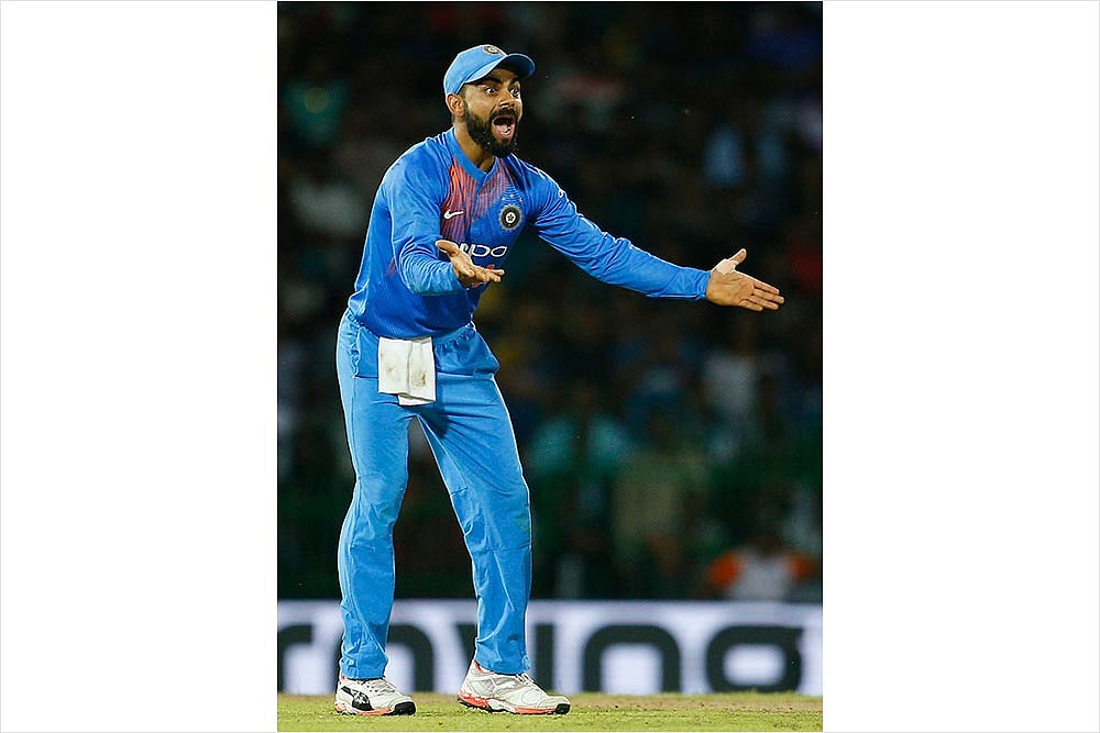 Saddle Sore Among The Gallopers