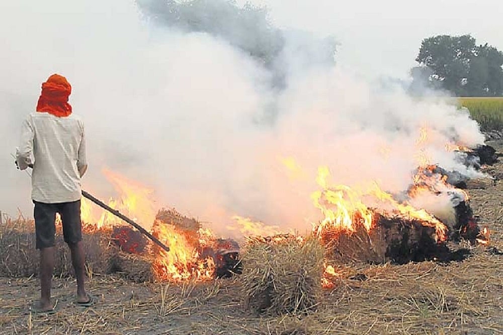 Stubble burning in Haryana (Representative photo)