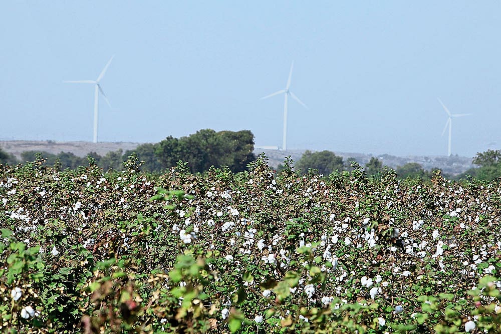 We Are Cut From This Fabric