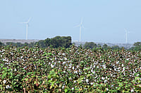 We Are Cut From This Fabric