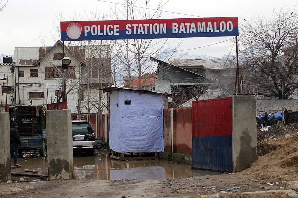 Those Half-Baked Gold Biscuits