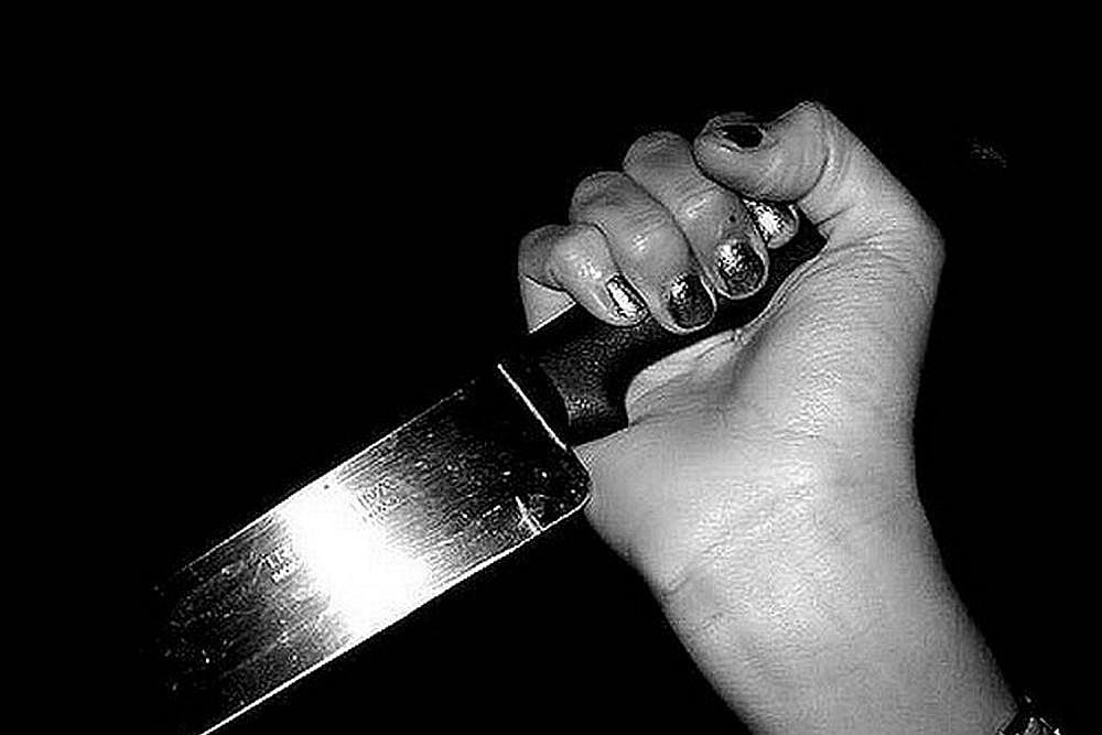 Distribute Knives To College Girls, Bobbitise Rapists, Says AP Women’s Panel Chief