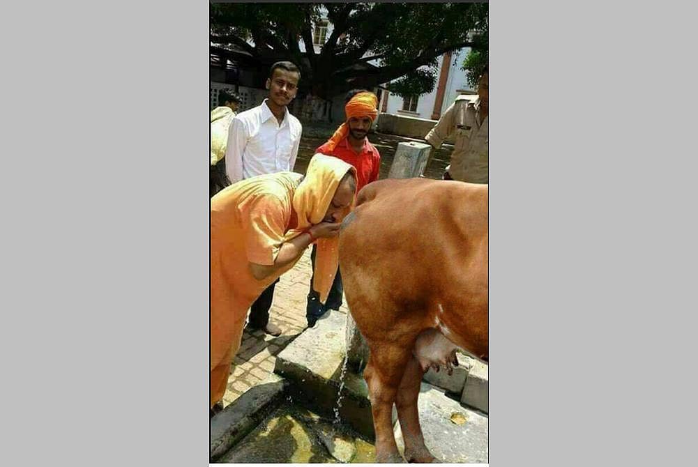 From Photo-Shopped Image Of Yogi Drinking Urine To Rahman's Quote On Beef, Fake News Thrives