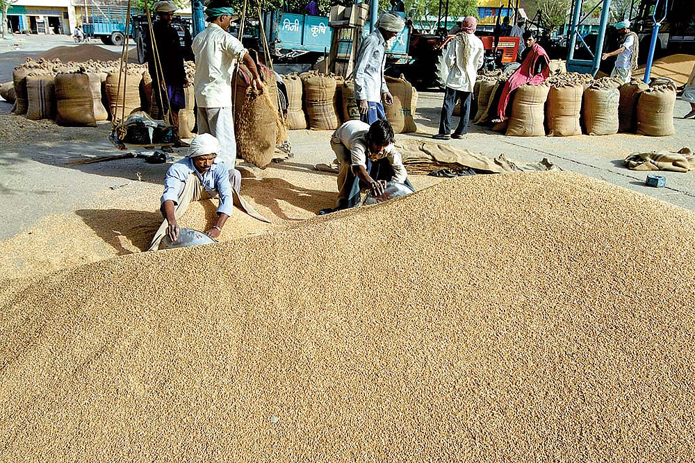 Demo And Other Demons In The Barn