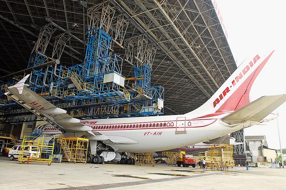 A Bird’s Past, And Future...