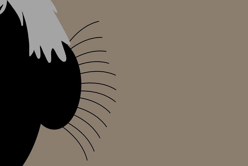 Taint Tales From Lalooland