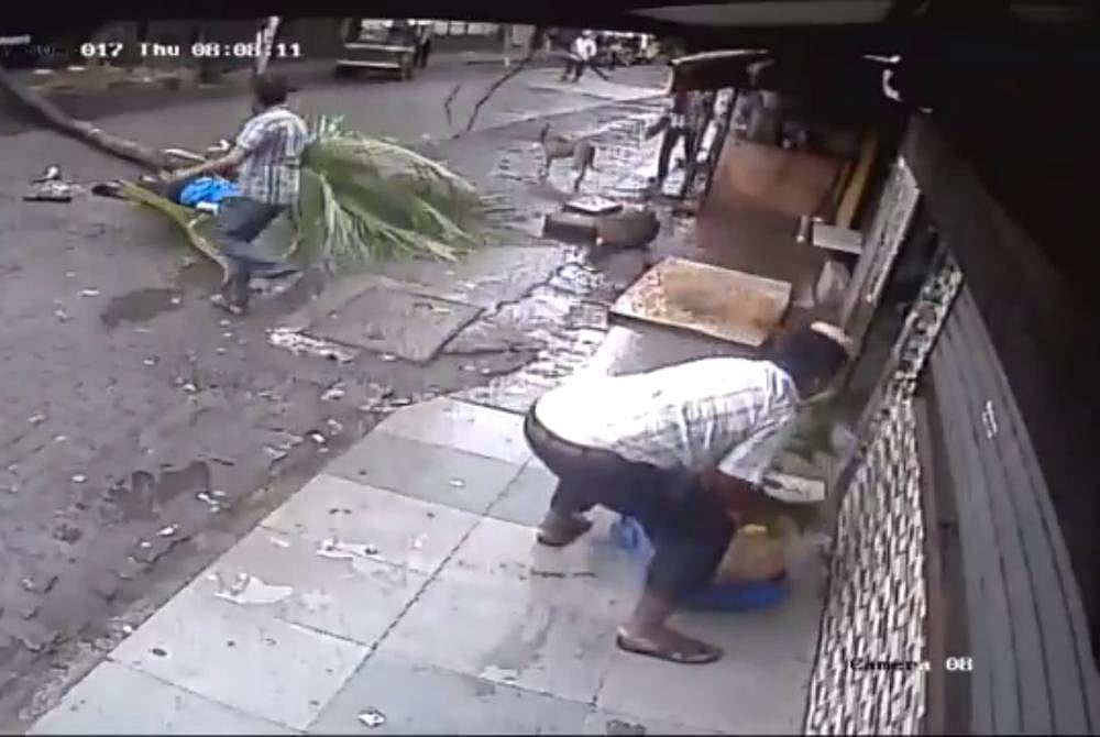 File Photo : 50-year-old man died and his wife was injured as tree fell on motorbike they were riding on (Representational Image)