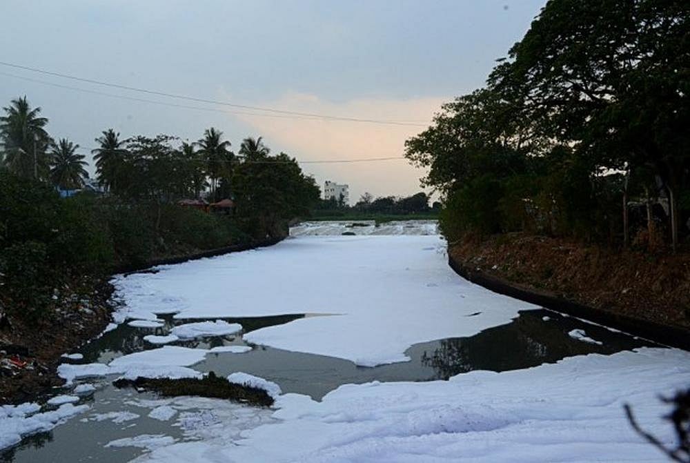 NGT Summons Top Karnataka Officials To Explain Action Taken To Clean Bellandur Lake
