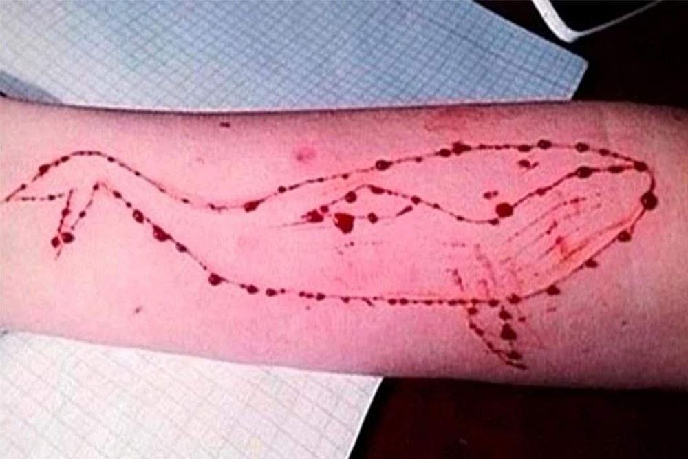 Blue Whale Challenge: Delhi HC Seeks Facebook, Google, Yahoo's Response On Plea To Remove Links