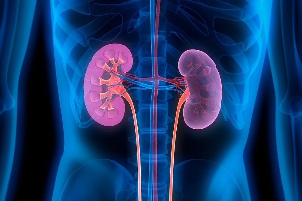 New Biosensor Promises To Detect Kidney Disorders In Less Than Eight Minutes