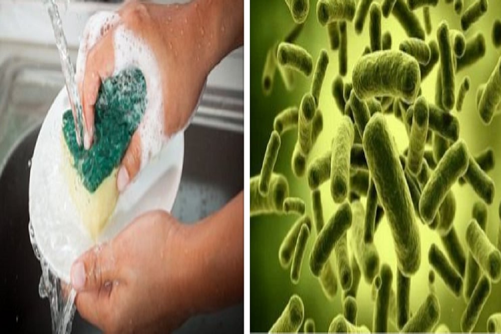 Kitchen Cleaning Sponges Are A Reservoir Of Bacteria And Dirtier Than Toilets, Says Study