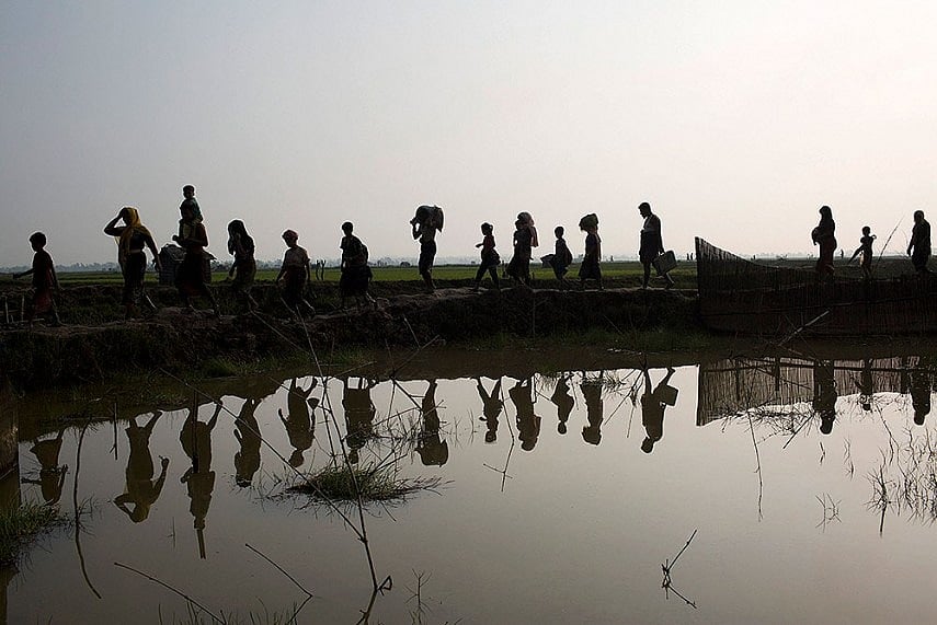 Rohingya In Myanmar Seemingly Face 'Ethnic Cleansing', Says UN Rights Chief