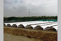 How Indian Scientists Have Started Harvesting Potable Drinking Water From Dew How Indian Scientists Have Started Harvesting Potable Drinking Water From Dew