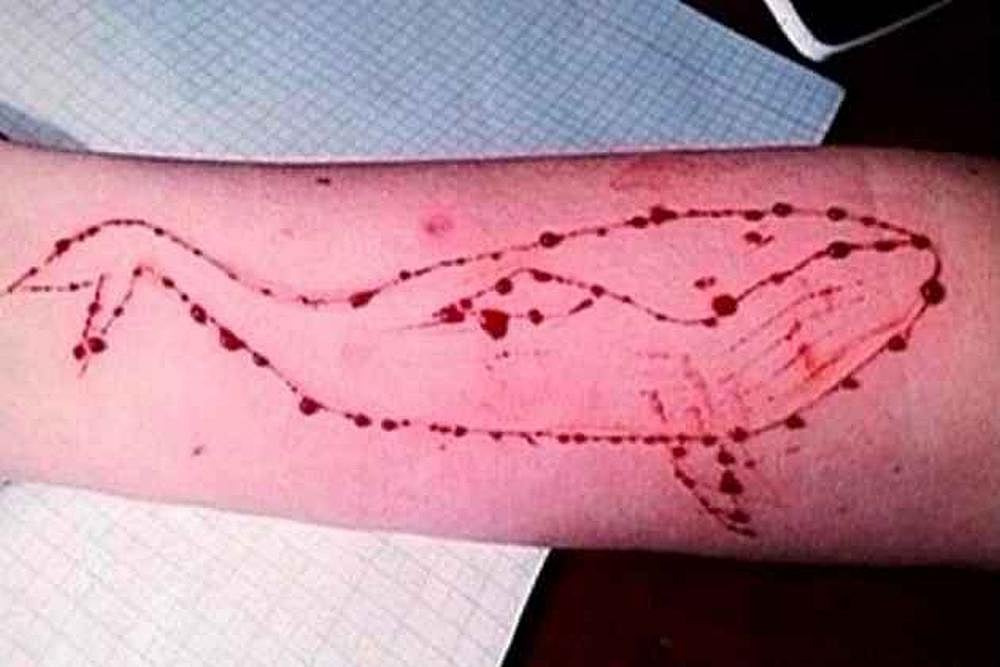 MP Govt Working To Ban Blue Whale Challenge Game