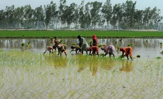 Telangana Farmers To Get 24x7 Power Supply For Agricultural Purpose