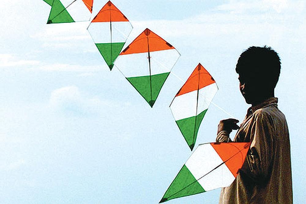 Makar Sankranti: 80 People, 1100 Birds Injured In Kite-Flying Related Accidents In Jaipur