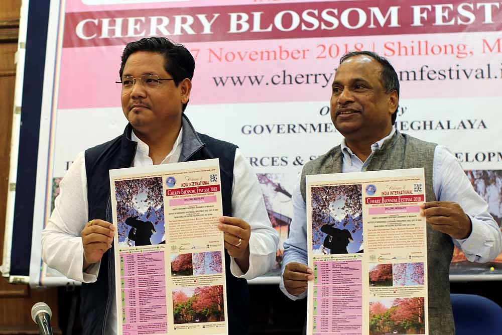 India International Cherry Blossom Festival To Be A Mega Event This Year: Meghalaya CM