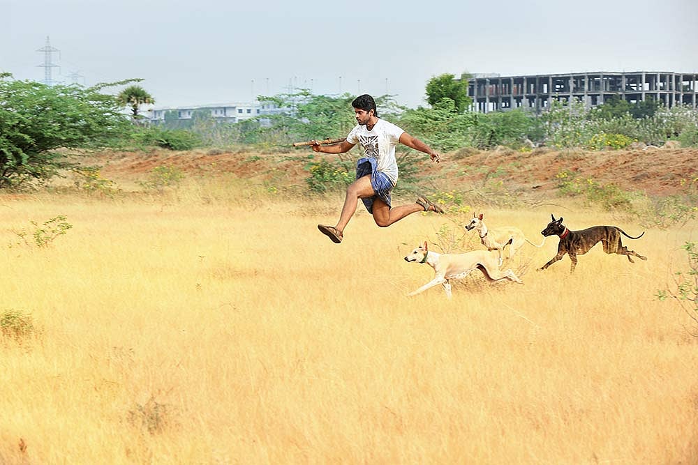 Cinema As Healing Balm