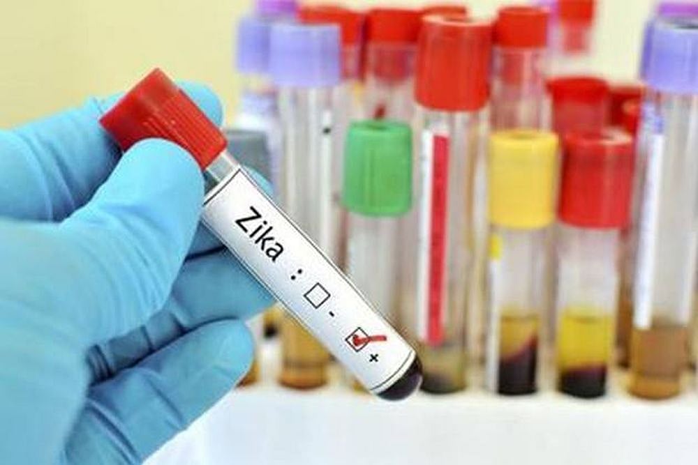Zika Virus Cases Reaches 120 In Rajasthan, Survey Teams Deployed To Spread Awareness
