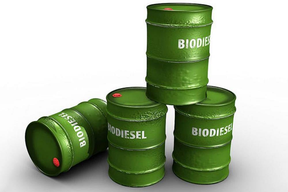 Biodiesel Can Be Used As Transportation Fuel: Bombay High Court