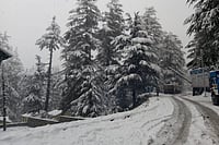 Gusty Winds, Snowfall Cripple Power Supply Across Kashmir Valley Heavy Snowfall Leads To Unprecedented Power Outages Across Kashmir Valley