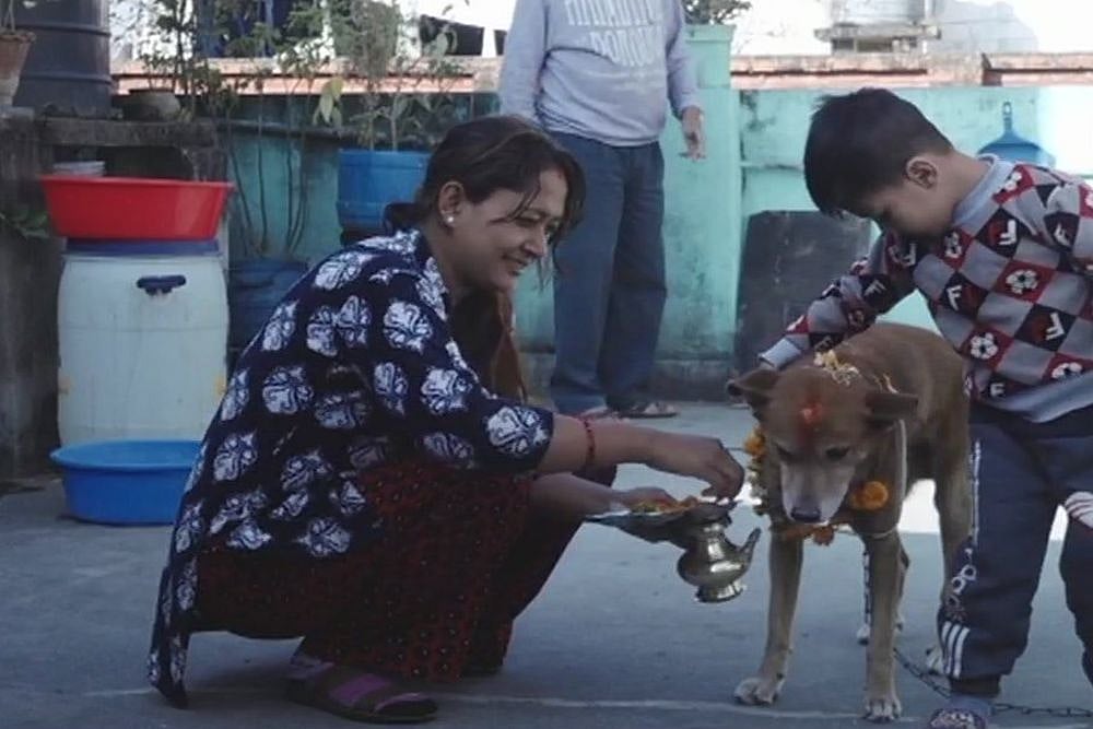'Kukkur Tihar': When Dogs Are Worshipped A Day Ahead Of Diwali