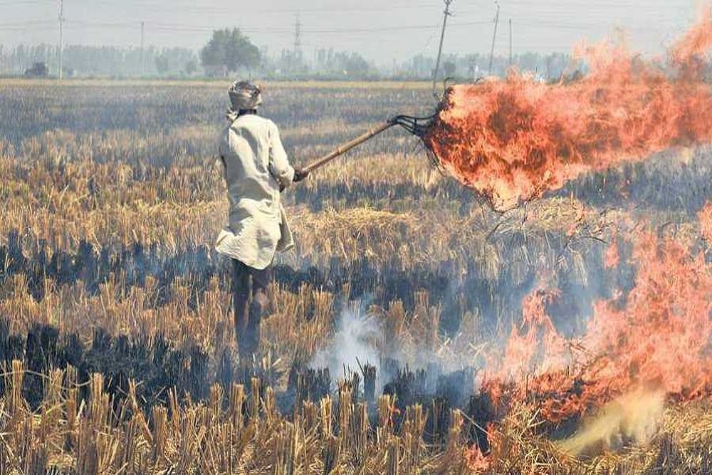 Despite Poor Air Quality, Why Farmers In Punjab, Haryana Continue To Burn Stubble - null