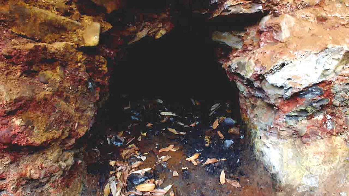 13 People Still Trapped In Flooded Meghalaya Mine, CM Promises Steps Against Illegal Mining