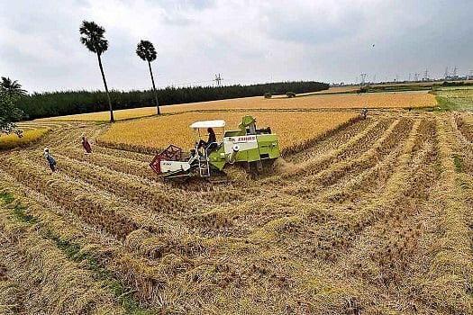 Government To Take Steps To Promote Agriculture Commodity Exports, Announces FM