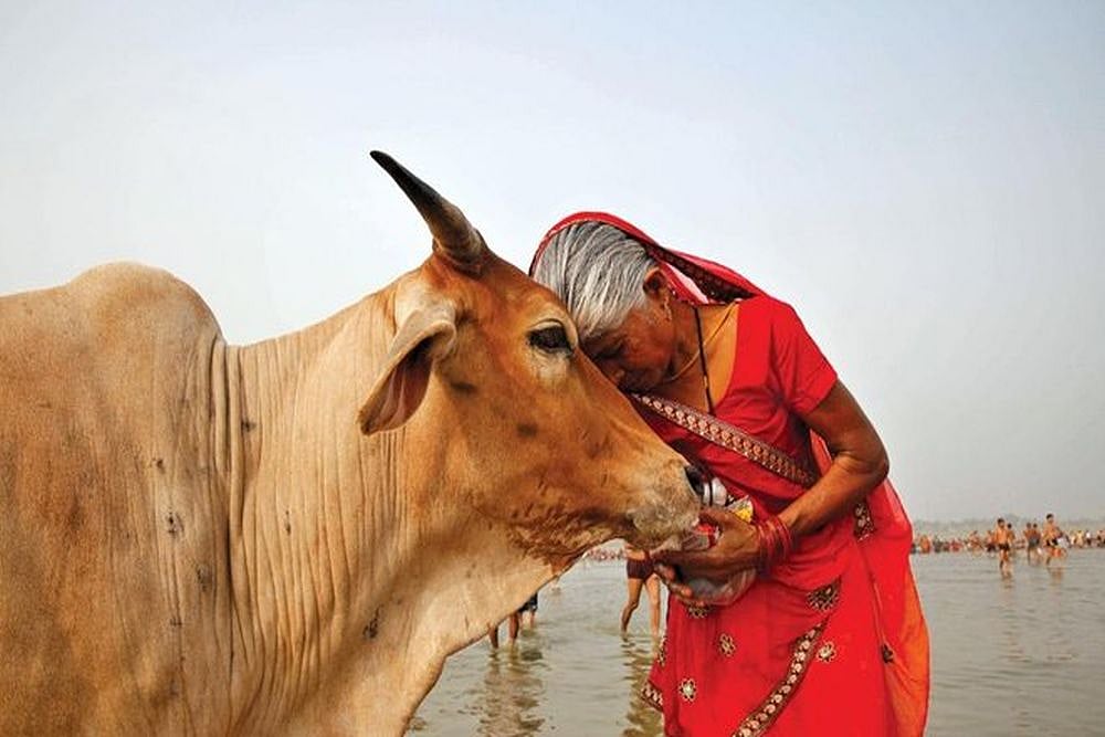 Bharatiya Gau Kranti Manch To Hold Rally In Delhi To Demand 'Mother Of Nation' Status To Cow