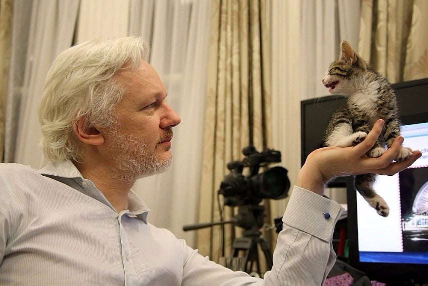 Ecuador Cuts Julian Assange's Internet Again After He 'Interferes In Other Country's Affairs'