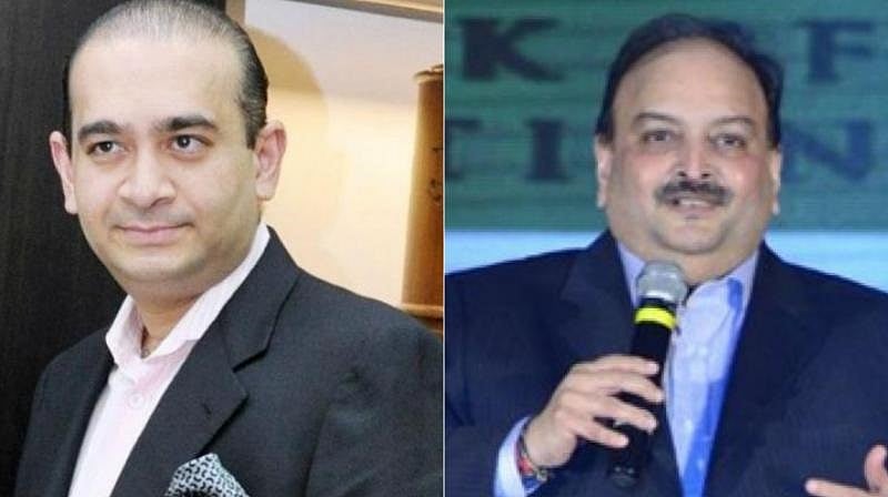 PNB Scam: Special Court Issues Non-Bailable Warrants Against Nirav Modi, Mehul Choksi