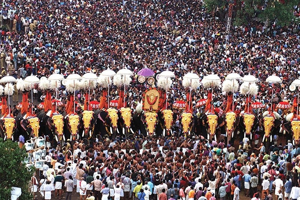 Thrissur Pooram: Elephants, Parasols, Ensembles, Fireworks, Crowd And An Unexpected Death
