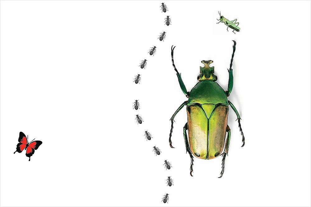 Roads Less Travelled