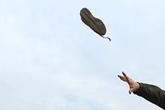 Pakistani Man Gets 18 Years Jail For Hurling Shoe At Judge