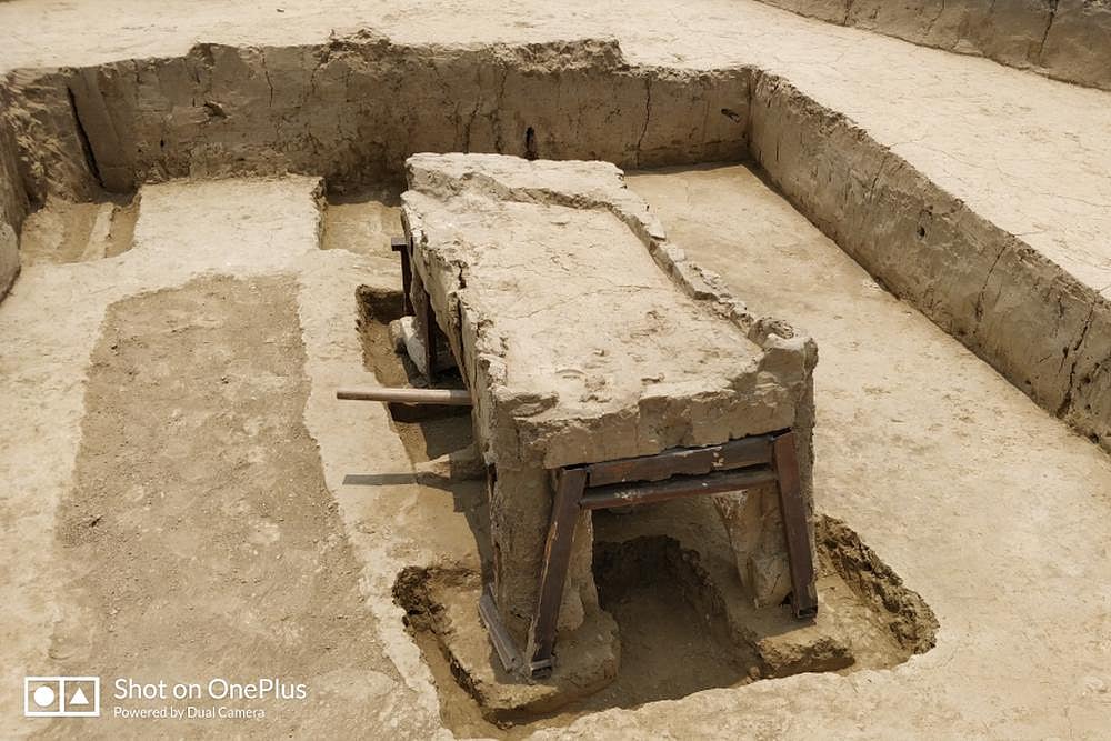 ASI-Excavated Sanauli Chariots Have Potential To Challenge Aryan Invasion Theory