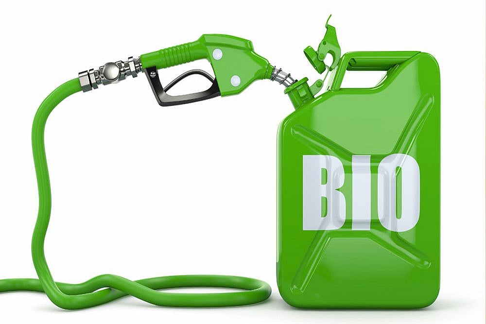 FAO Says Management Of Biofuels Matters: How To Reconcile Food & Fuel Production
