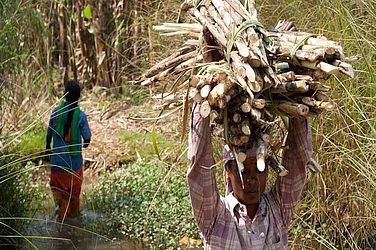 Karnataka Sugarcane Farmers Demand Rs 3,500 Per Tonne, Minister H K Patil Calls For Meeting With CM