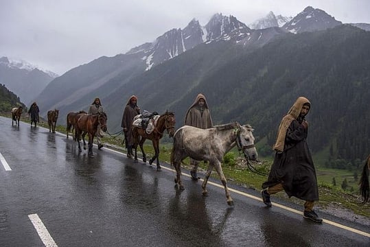 Two Amarnath Yatra Pilgrims Killed In Accident